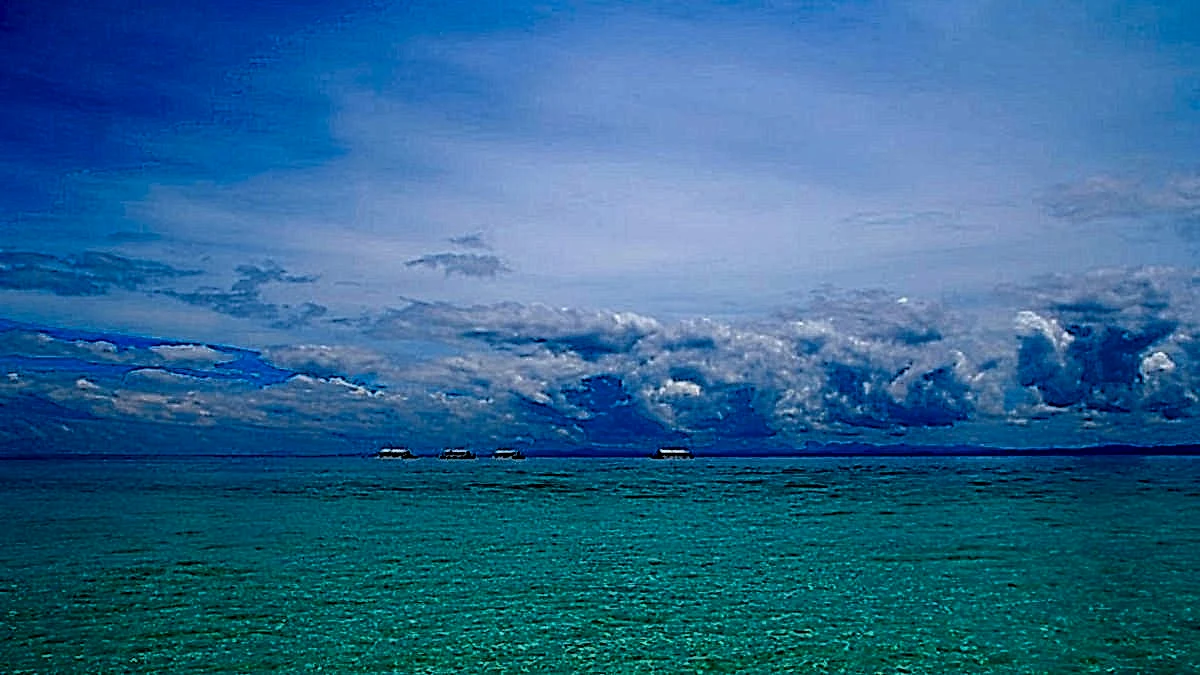 세부